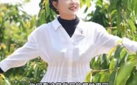 李雨禅被刑拘后续：封号只是开始果农含泪曝细节 民事追责在路上